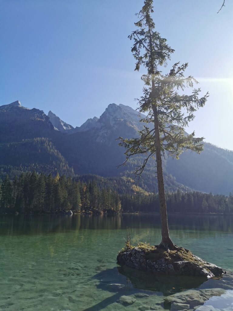 Mystische Bergseen - der Hintersee in den Berchtesgadener Alpen