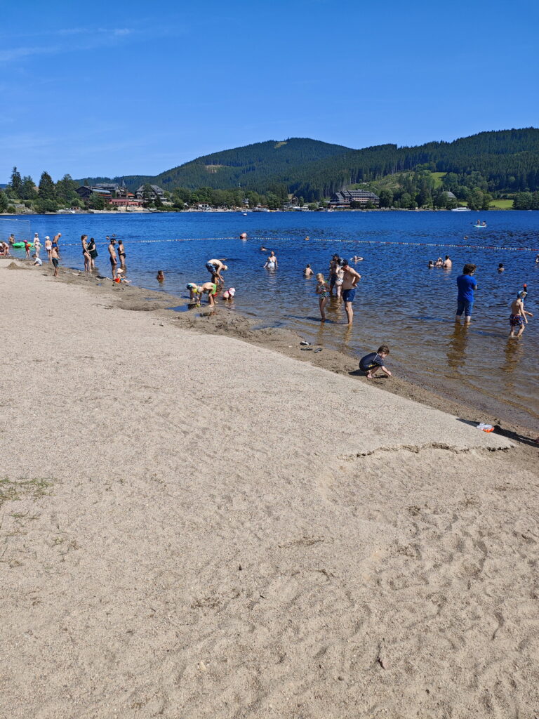 Bergseen mit Sandstrand: Der Titisee