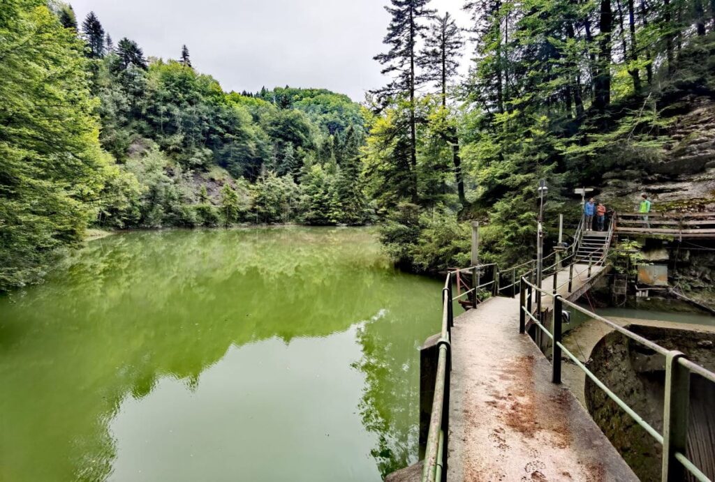 Staufensee Rundweg bei der Rappenlochschlucht